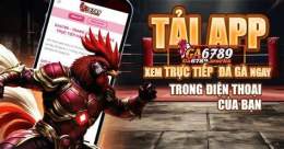 giao diện app đá gà 6789 không trận