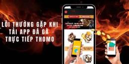 giao diện app đá gà 688