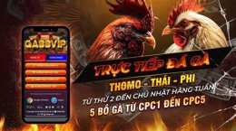 giao diện app đá gà 88 net trực tiếp