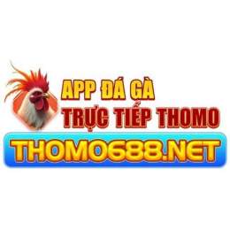 giao diện app đá gà 88 thomo trực tiếp