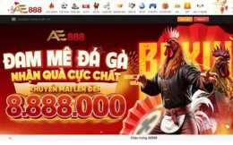 giao diện app đá gà 888 com