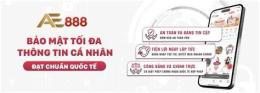 giao diện app đá gà ae888 us