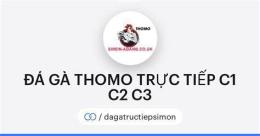 giao diện app đá gà bên c2
