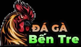 giao diện app đá gà bến tre