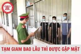 giao diện app đá gà bị tạm giam bao lâu