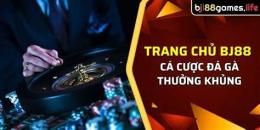giao diện app đá gà bj 88