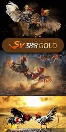giao diện app đá gà bj 888