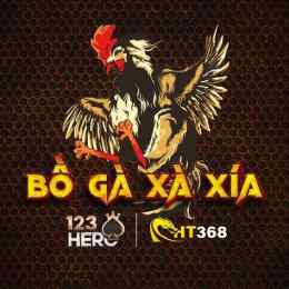 giao diện app đá gà bồ hà tiên