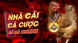 giao diện app đá gà c1 campuchia