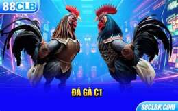 giao diện app đá gà c1 .com