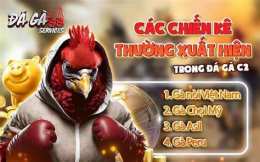 giao diện app đá gà c2 đá gà c2