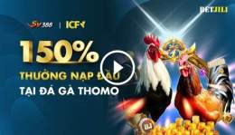 giao diện app đá gà cam trực tiếp c2