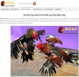 giao diện app đá gà campuchia cửa sắt