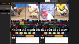 giao diện app đá gà cpc 2
