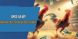 giao diện app đá gà cpc trực tiếp