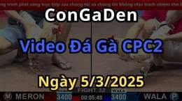 giao diện app đá gà cpc2 hôm nay