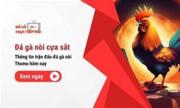 giao diện app đá gà cựa c3