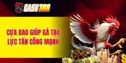 giao diện app đá gà cựa dao 388