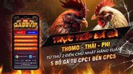 giao diện app đá gà cựa dao 88 trực tiếp