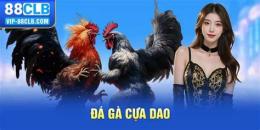 giao diện app đá gà cựa dao casino