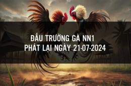 giao diện app da ga cua dao nn1