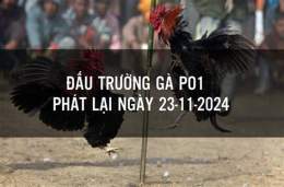 giao diện app đá gà cựa dao po1