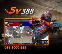giao diện app đá gà cựa dao sv388