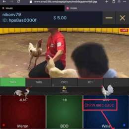 hack đá gà mới nhất