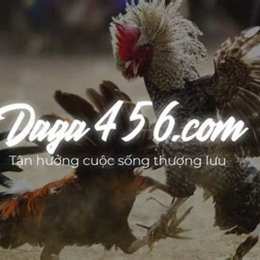 https dagatructiep1 com đá gà trực tiếp cpc3