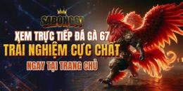 hướng dẫn sử dụng 67 da ga truc tiep