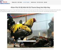 hướng dẫn sử dụng ae3888 đá gà thomo