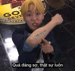 hướng dẫn sử dụng ảnh meme nổi da gà
