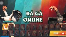 hướng dẫn sử dụng app đá gà uy tín