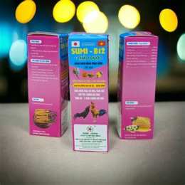 hướng dẫn sử dụng b12 cho gà đá