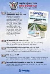 hướng dẫn sử dụng bao dong nai bat da ga