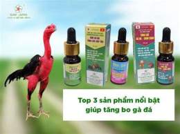 hướng dẫn sử dụng bi quyet nuoi ga da