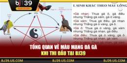 hướng dẫn sử dụng bj39 da ga