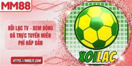 hướng dẫn sử dụng bóng đá gà tv