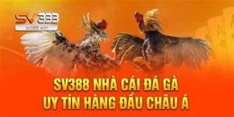 hướng dẫn sử dụng cách đăng ký đá gà trực tiếp thomo