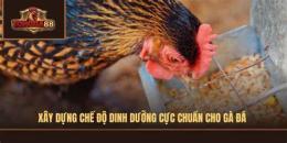 hướng dẫn sử dụng cách nuôi gà đá cựa sắt