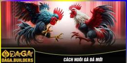 hướng dẫn sử dụng cach nuoi ga da