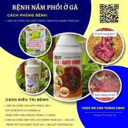 hướng dẫn sử dụng cách phòng bệnh nấm da ở gà con