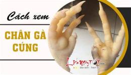 hướng dẫn sử dụng cách xem chân gà đá