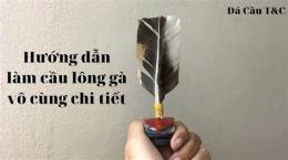 hướng dẫn sử dụng cầu đá lông gà