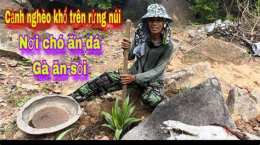 hướng dẫn sử dụng chó ăn đá gà ăn sỏi là gì