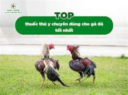 hướng dẫn sử dụng cho tot ga da tphcm