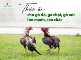 hướng dẫn sử dụng cho tot ga da