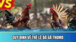 hướng dẫn sử dụng chơi đá gà thomo