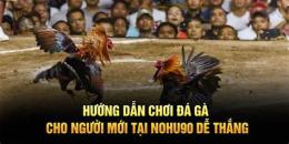 hướng dẫn sử dụng choi da ga