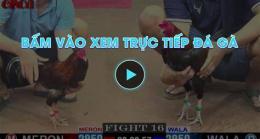 hướng dẫn sử dụng chuc tiep da ga